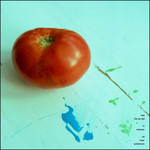 tomato 2023-10